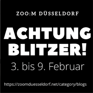 Geschwindigkeitskontrollen in der Stadt nächste Woche