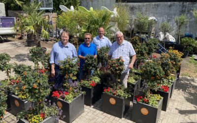 400 Blumenoasen für Düsseldorfer Stadtteile