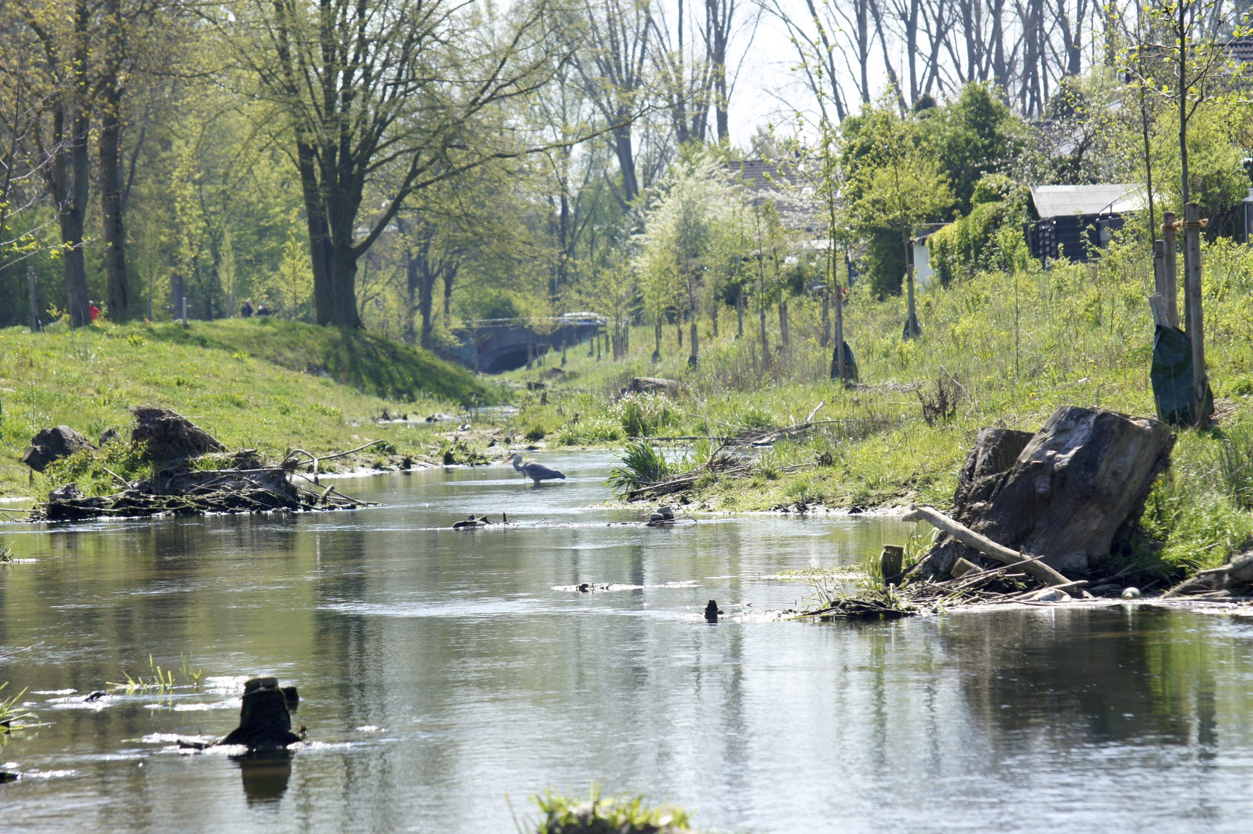 Klimaanpassung am Fluss Biodiversität im Fluss