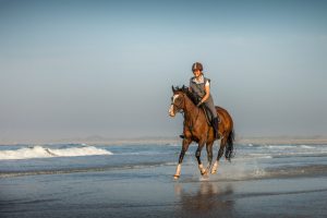 Borkum: Inselträume und Pferdestärken