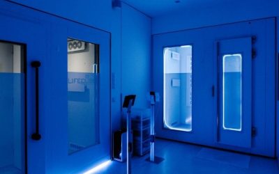 Optimice macht aus Minus Plus 