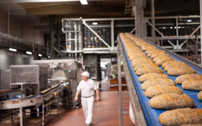 Harry Brot: Der Duft von frischem Brot