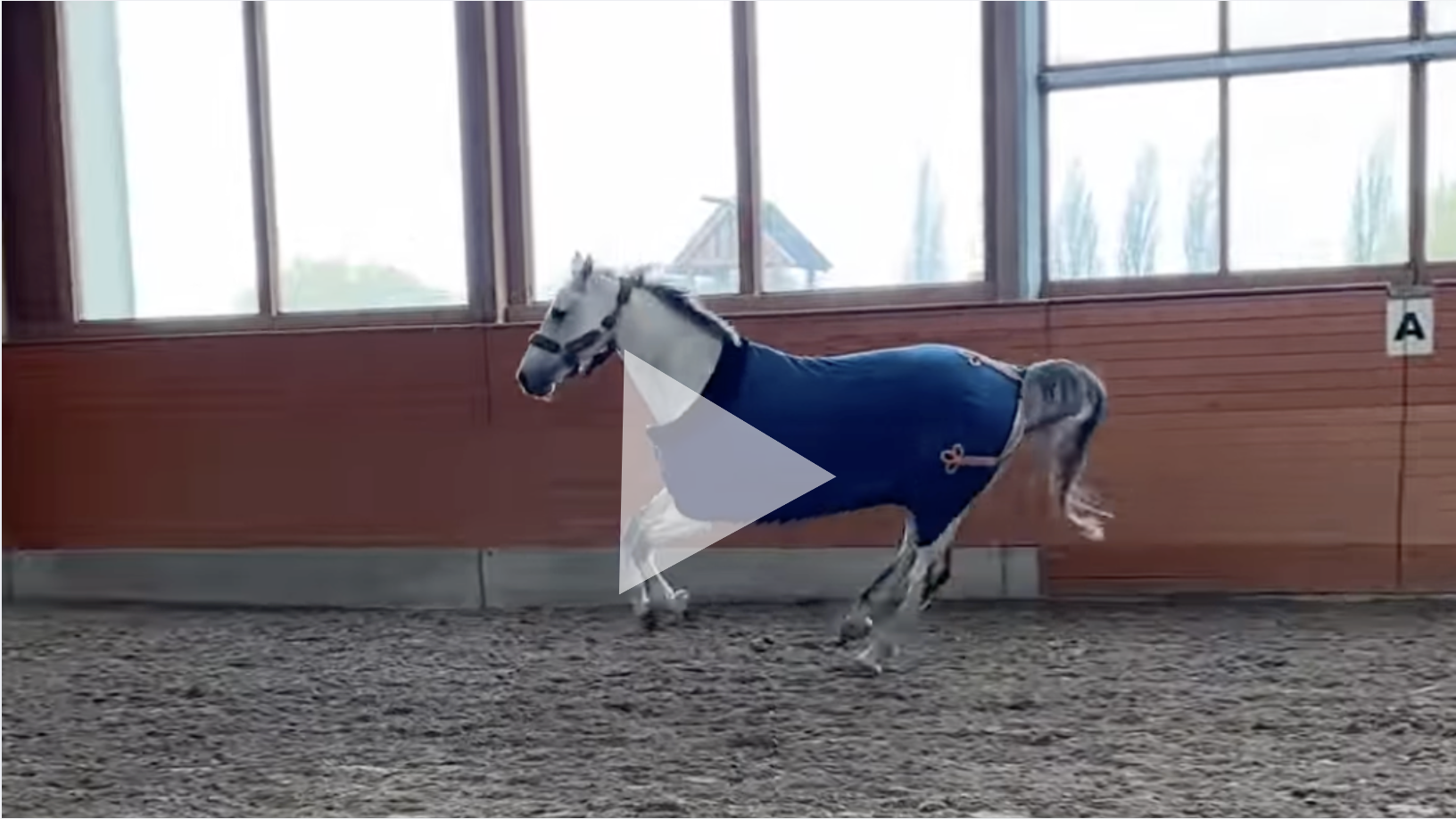 Bildschirmfoto 2026-03-30 um 19.52.32