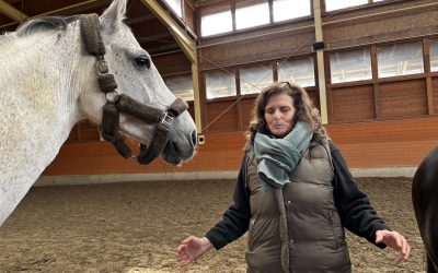 Qigong trifft Pferdecoaching