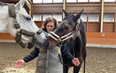 Qigong trifft Pferdecoaching