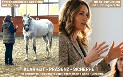 Qigong trifft Pferdecoaching