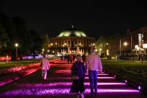 Art:walk Festival – das Upgrade für die Nacht der Museen